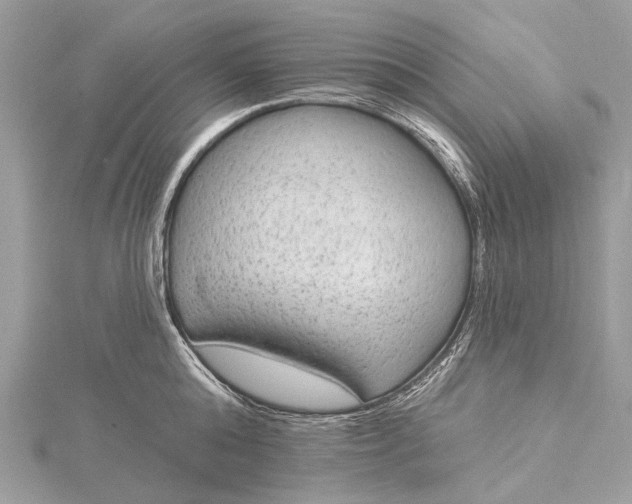 X0000115530808200911201718