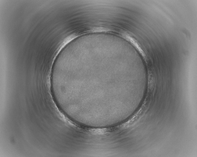 X0000115530810200911201718