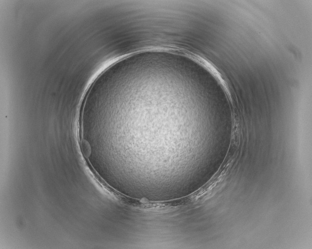 X0000115530811200911201718