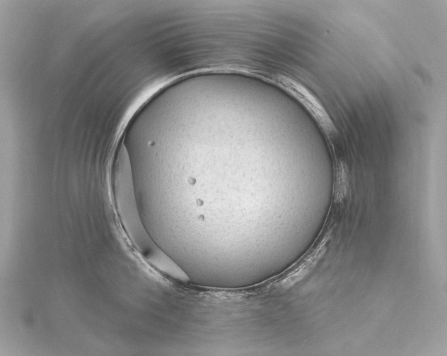 X0000115530812200911201718