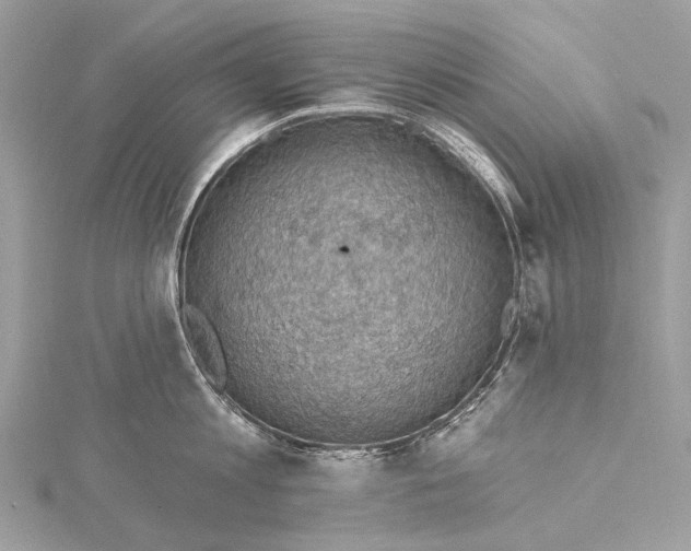 X0000115530813200911201718