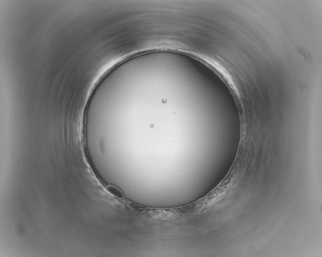 X0000115530815200911201718