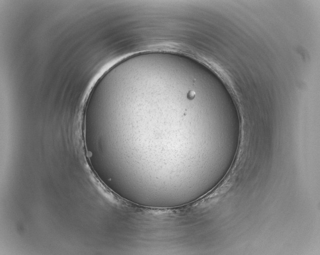 X0000115530816200911201718