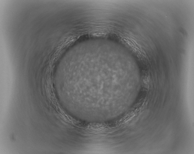 X0000115530817200911201717