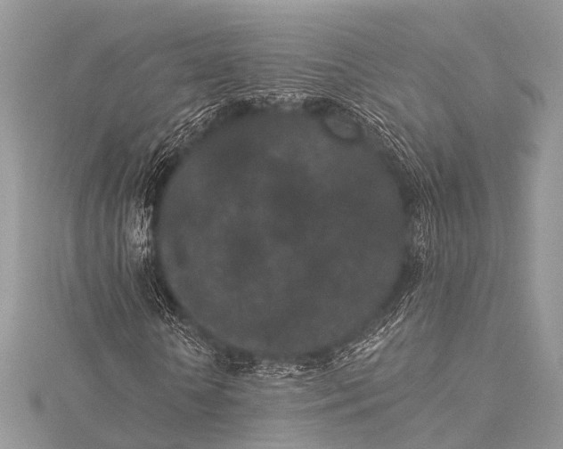 X0000115530818200911201717