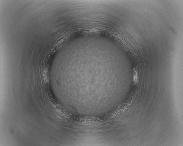 X0000115530819200911201717