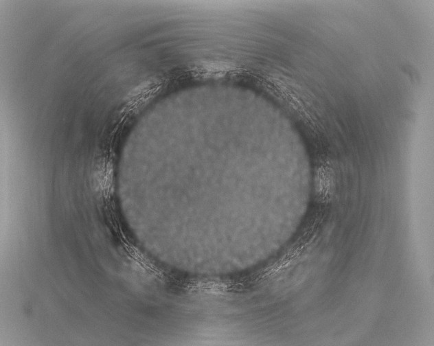 X0000115530820200911201717