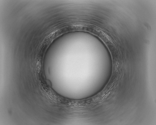 X0000115530821200911201718