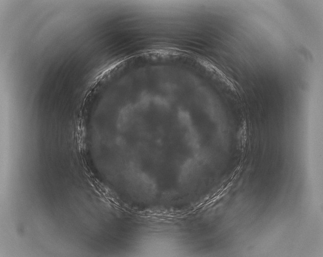 X0000115530822200911201718