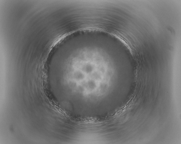 X0000115530823200911201718