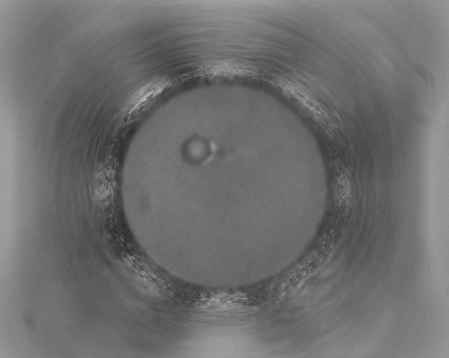 X0000115530824200911201718