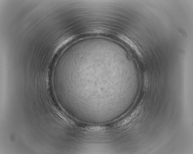 X0000115530826200911201718