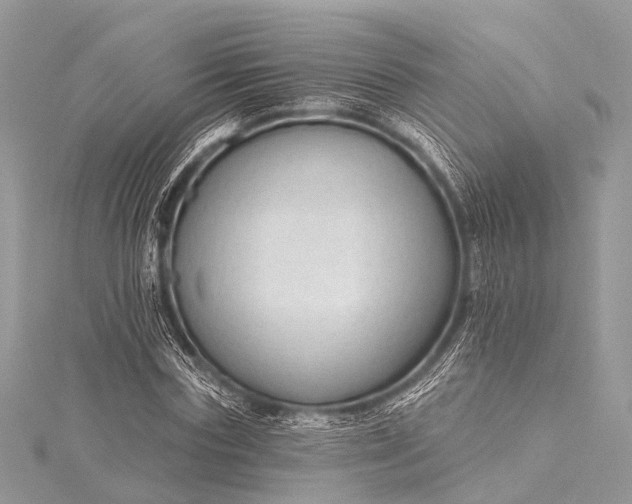 X0000115530827200911201718