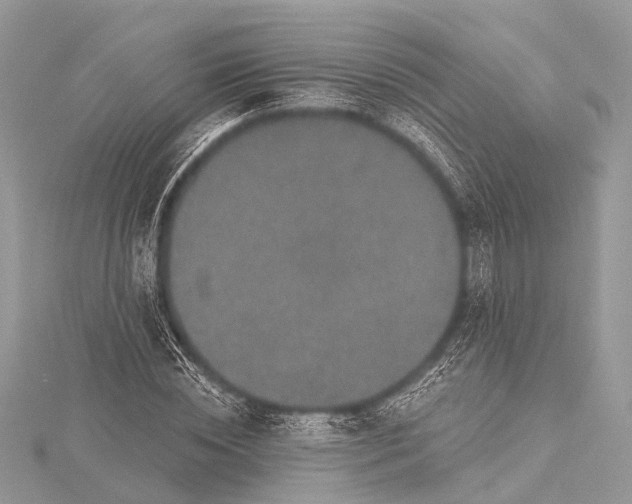 X0000115530828200911201718