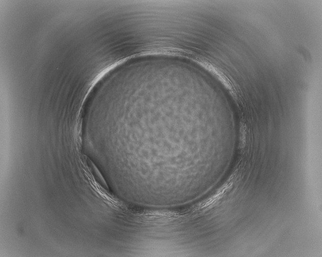 X0000115530830200911201718