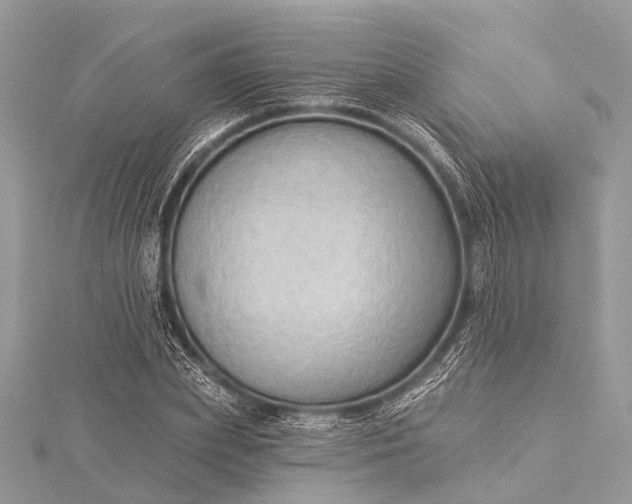 X0000115530831200911201718