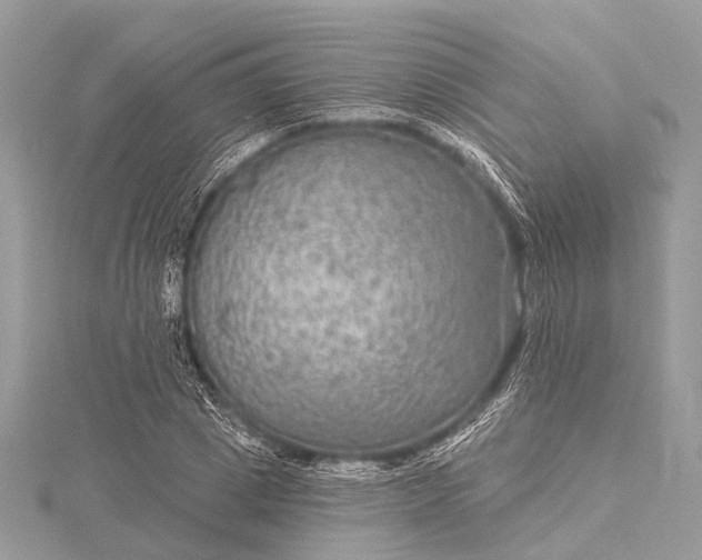 X0000115530833200911201718