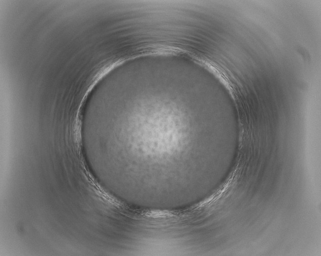 X0000115530835200911201718