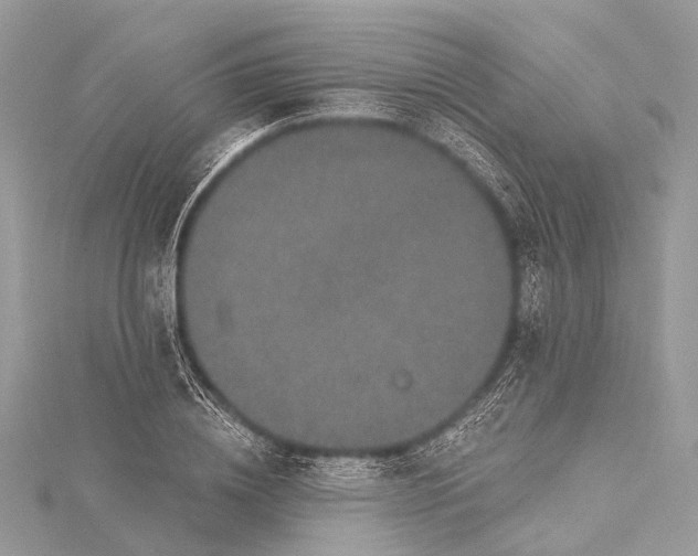 X0000115530836200911201718