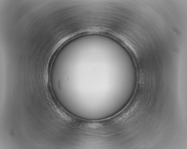 X0000115530837200911201718