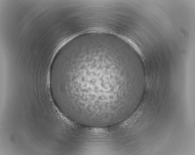 X0000115530839200911201718