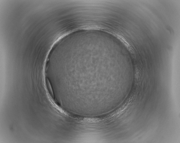 X0000115530840200911201718