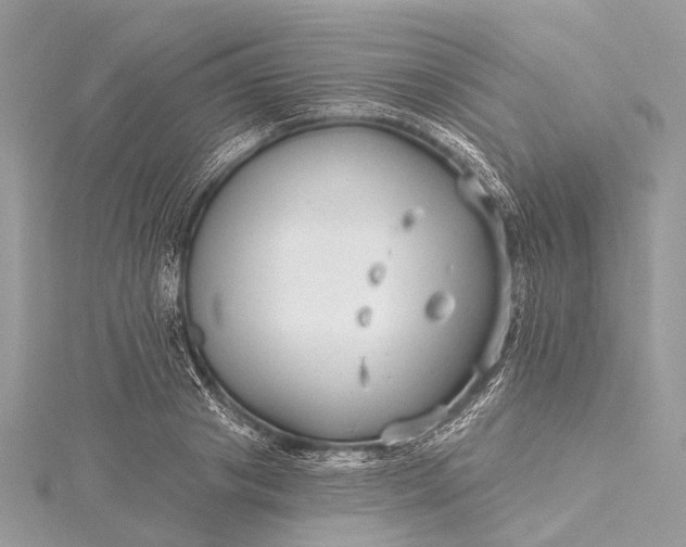 X0000115530841200911201718