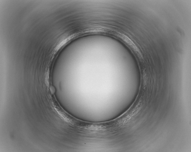 X0000115530842200911201718