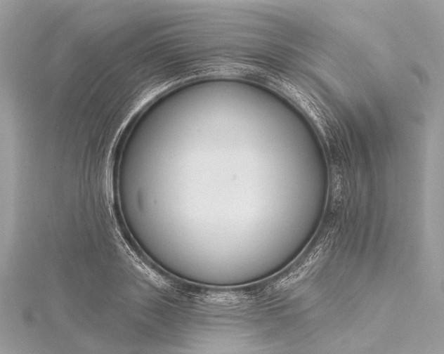 X0000115530843200911201718