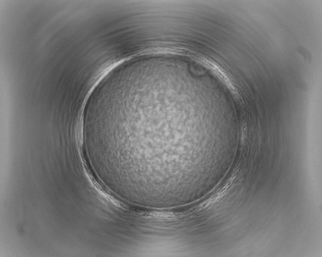 X0000115530844200911201718