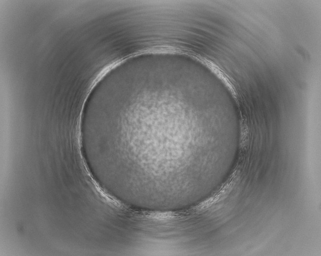 X0000115530845200911201718