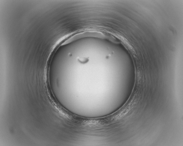 X0000115530846200911201718