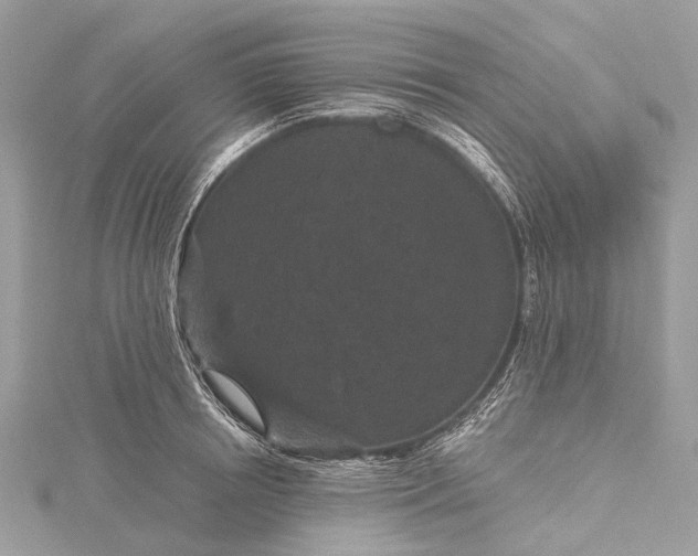 X0000115530850200911201718