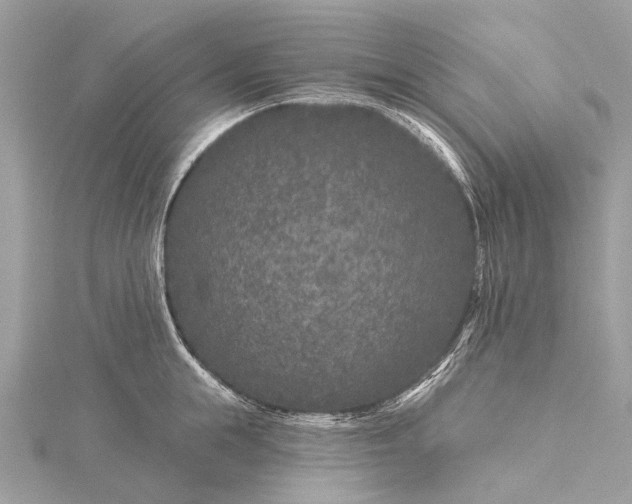 X0000115530855200911201718