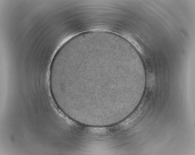 X0000115530856200911201718