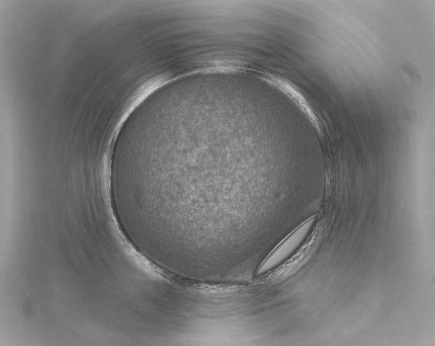 X0000115530859200911201718