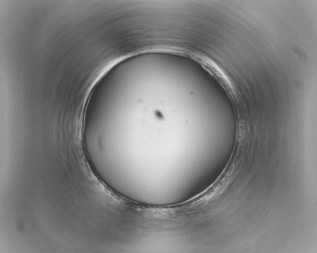 X0000115530860200911201718