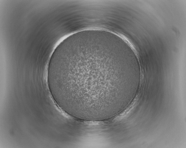 X0000115530862200911201718