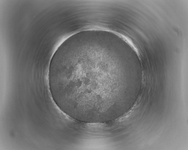 X0000115530863200911201718