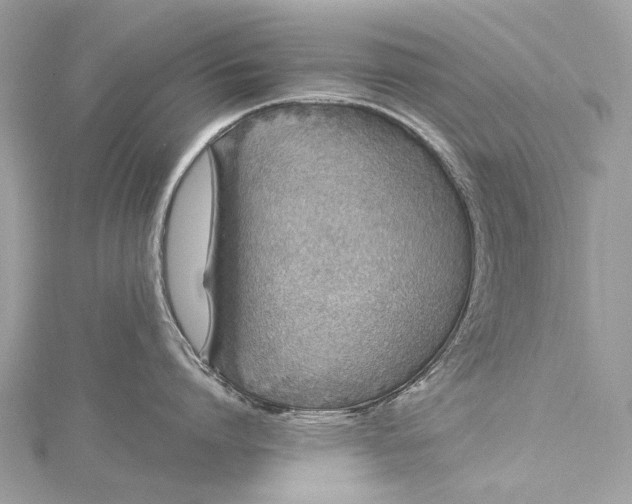 X0000115530864200911201718