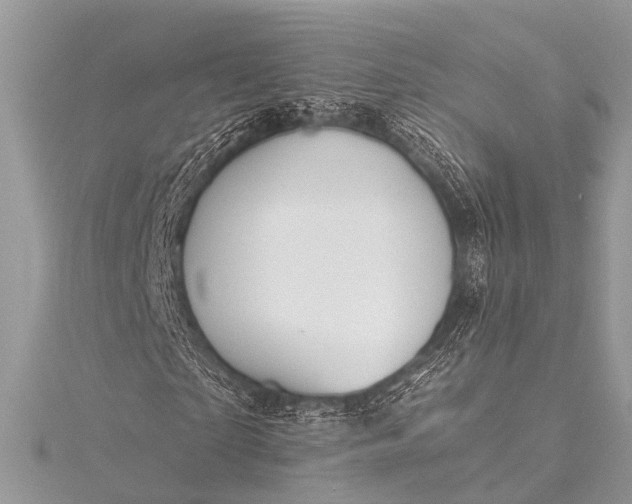 X0000115530865200911201717