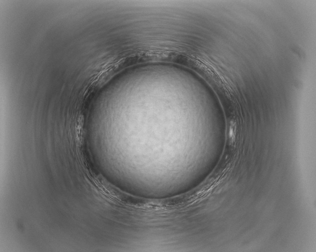 X0000115530867200911201717