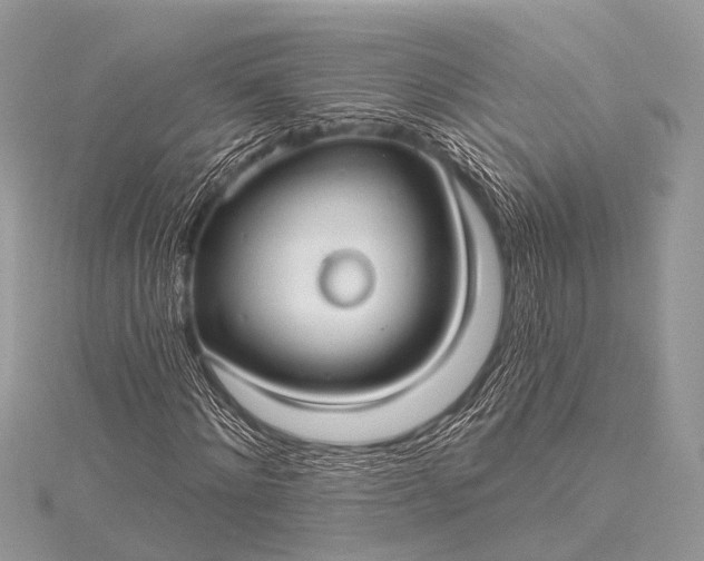 X0000115530868200911201717