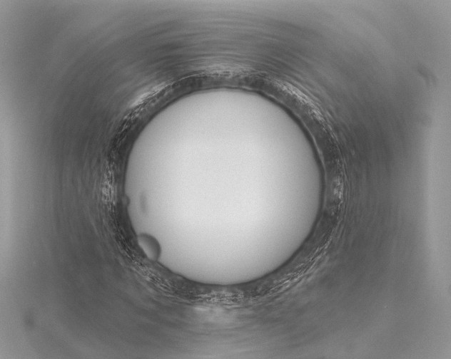 X0000115530869200911201717