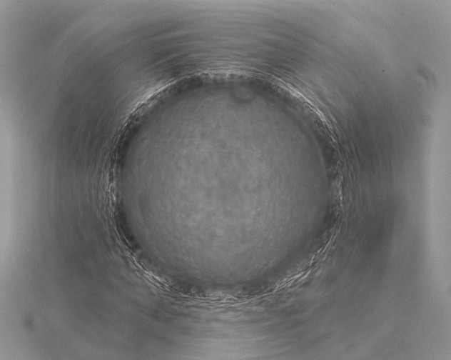 X0000115530870200911201717