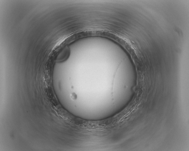 X0000115530871200911201717