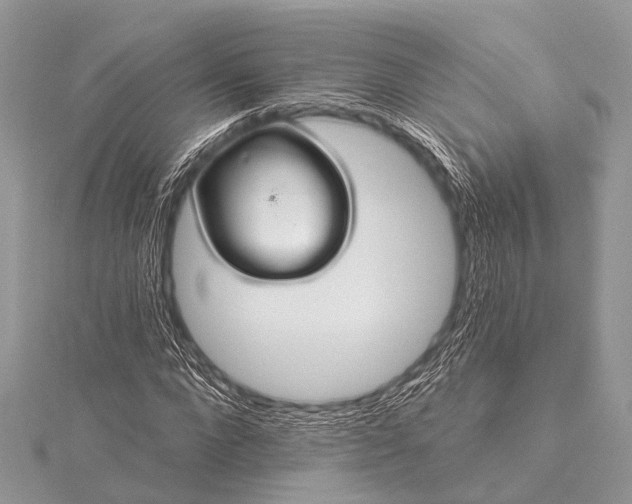 X0000115530872200911201717