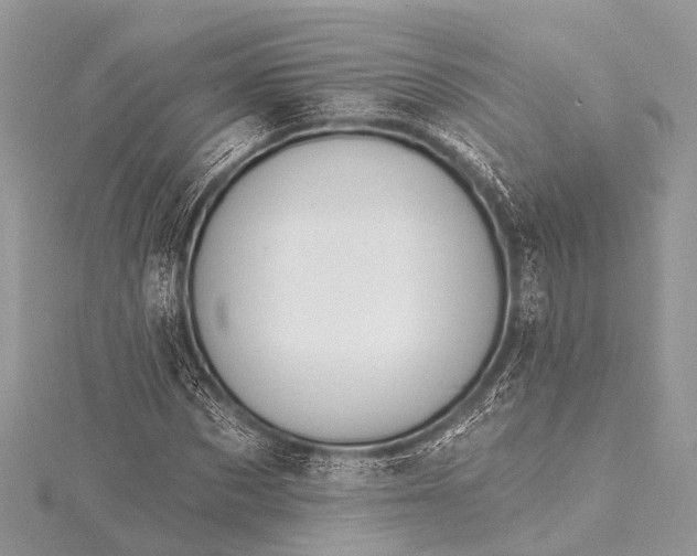 X0000115530873200911201717