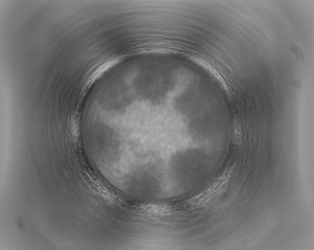 X0000115530874200911201717