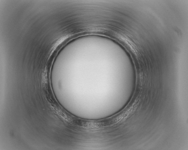 X0000115530875200911201717